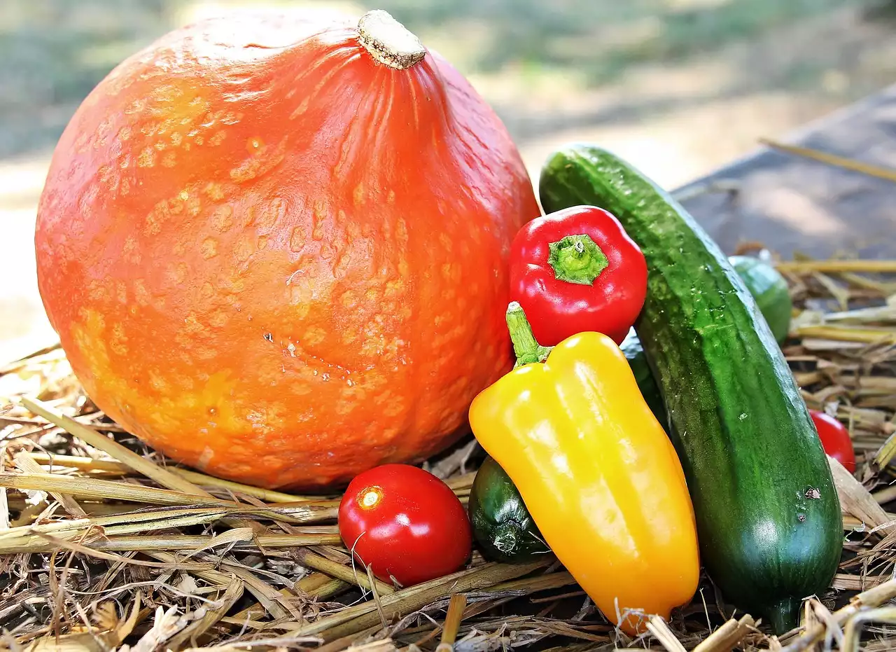 Максимальное использование сезонных продуктов: руководство по осенним овощам